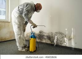 Best Industrial Mold Remediation  in USA